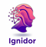 Invoice Auditor by Ignidor